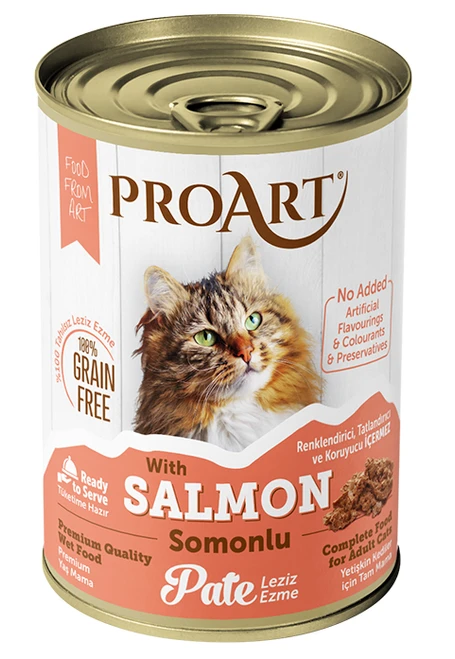 PROART CAT PATE SALMON 400 GR