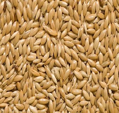 Skalora (Sold per kg)